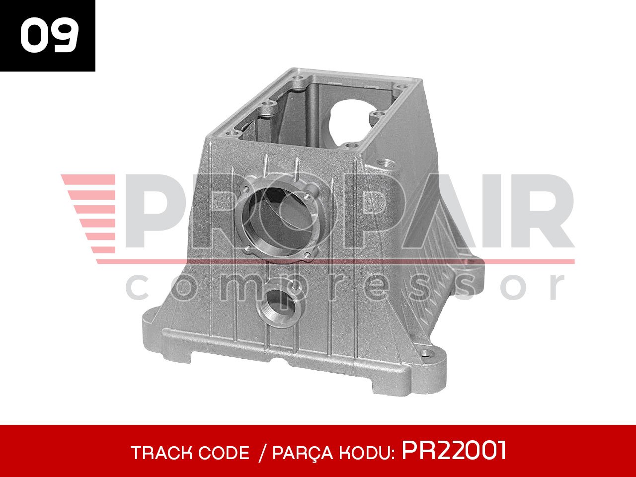 09-PR22001