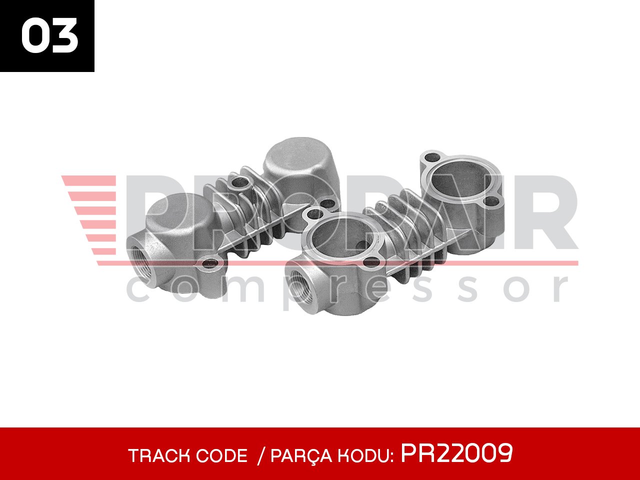03-PR22009