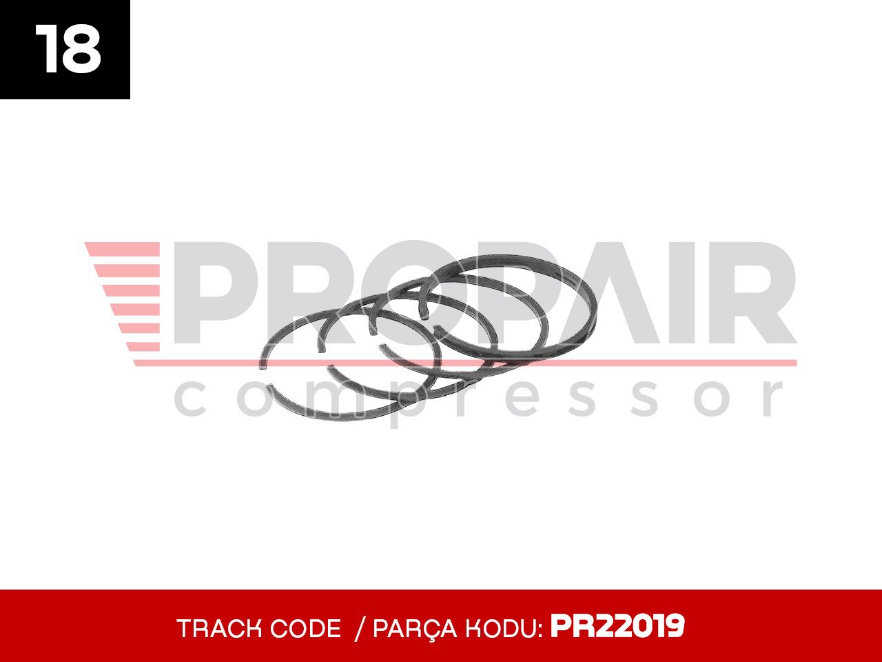 18-PR22019