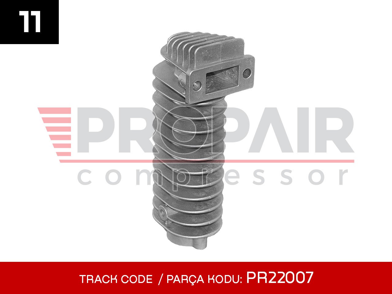 11-PR22007