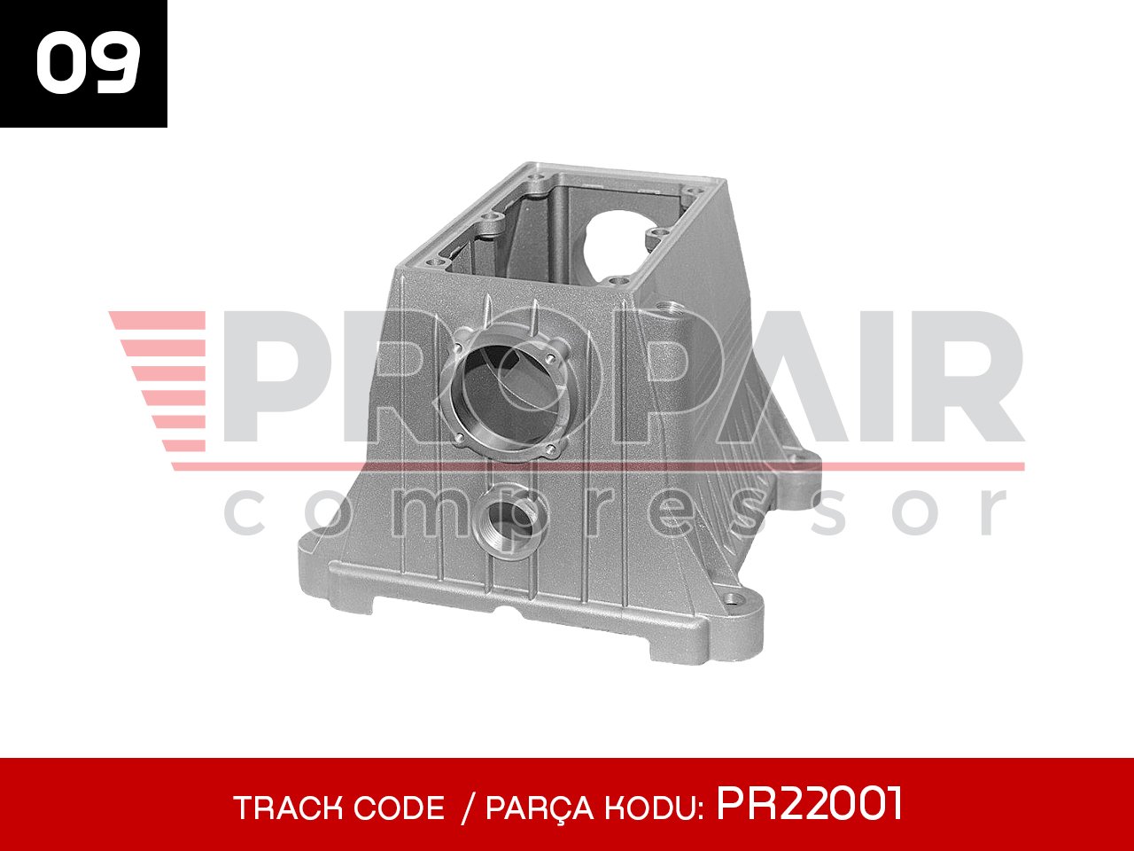 09-PR22001
