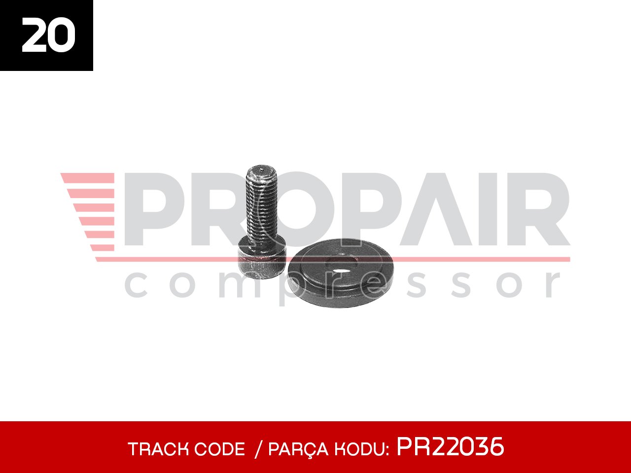 20-PR22036
