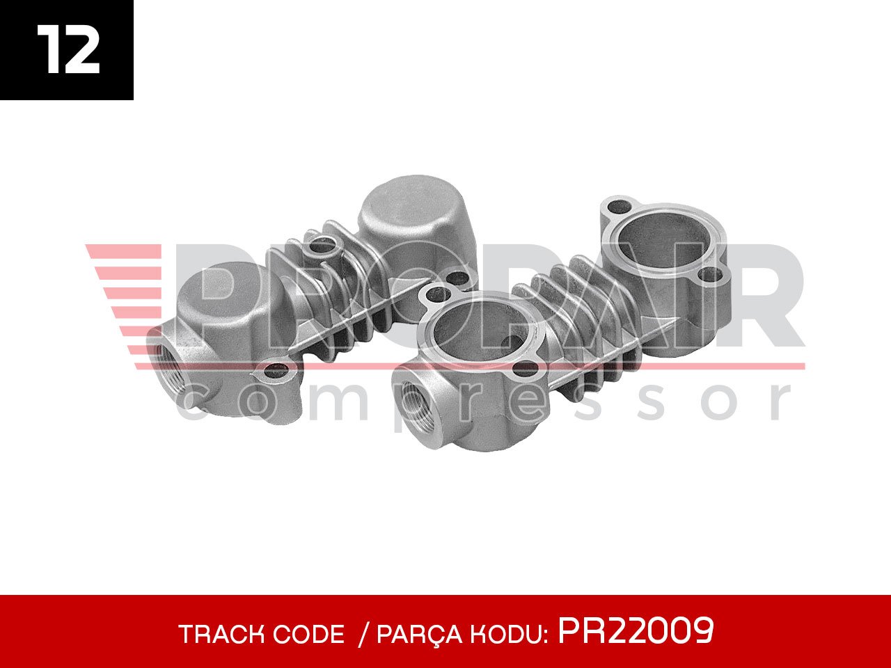 12-PR22009