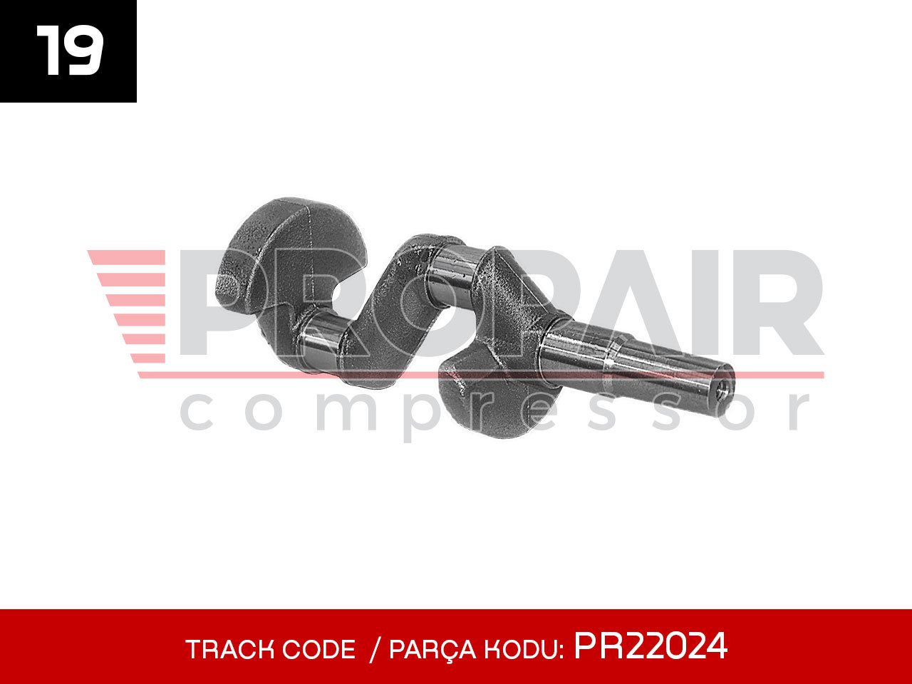 19-PR22024