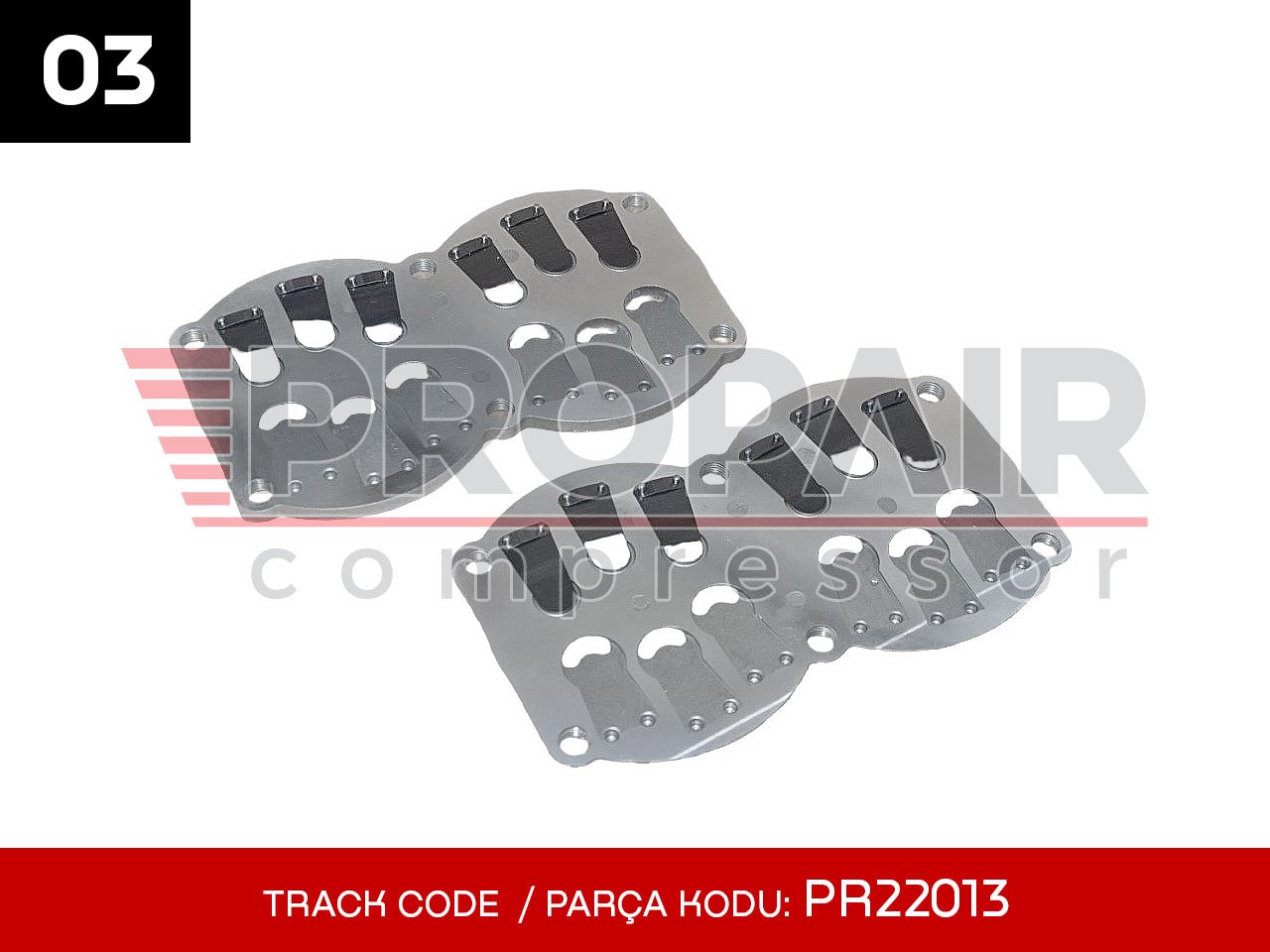 03-PR22013