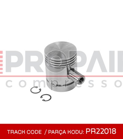 19-PR22018