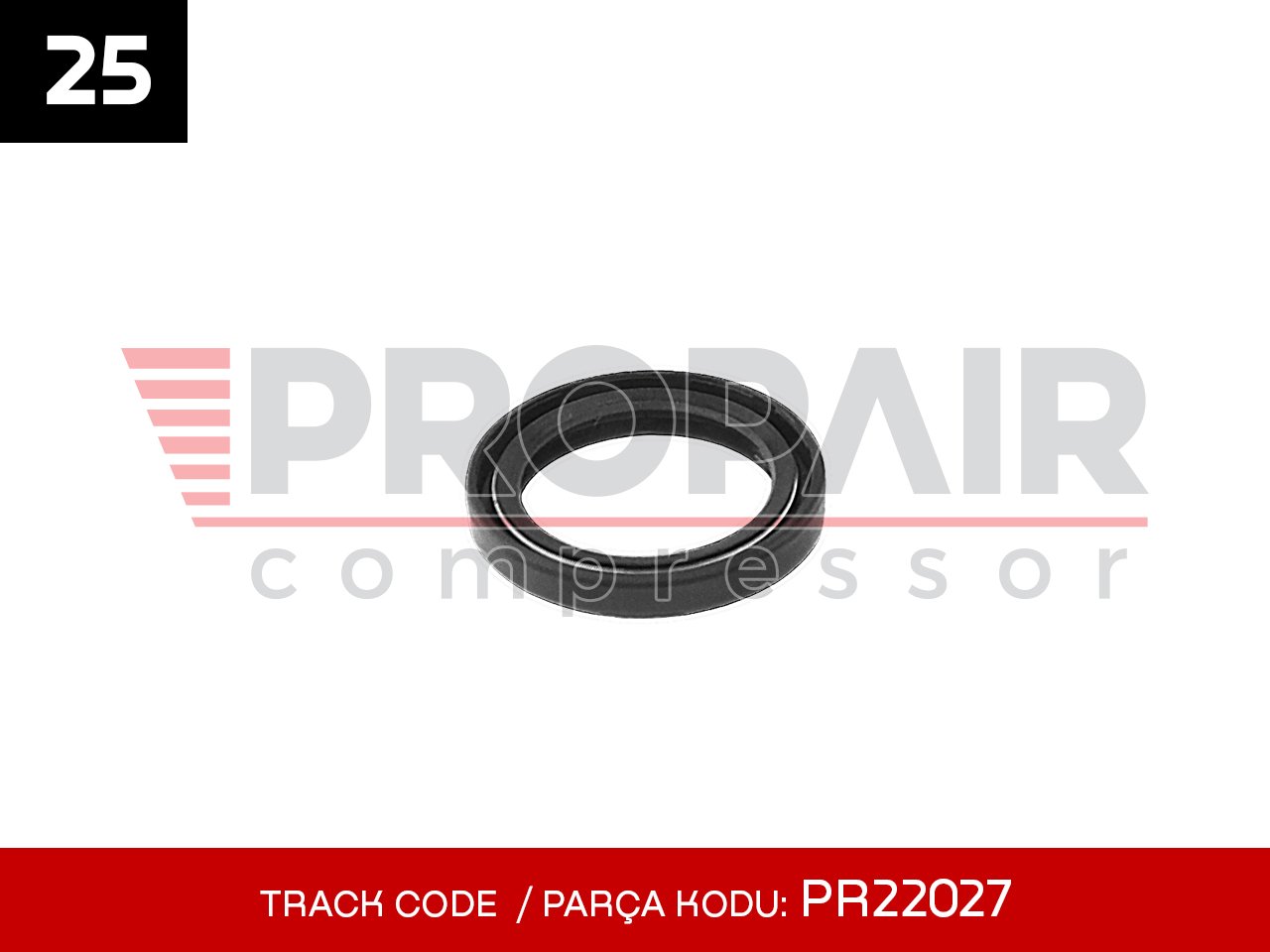 25-PR22027