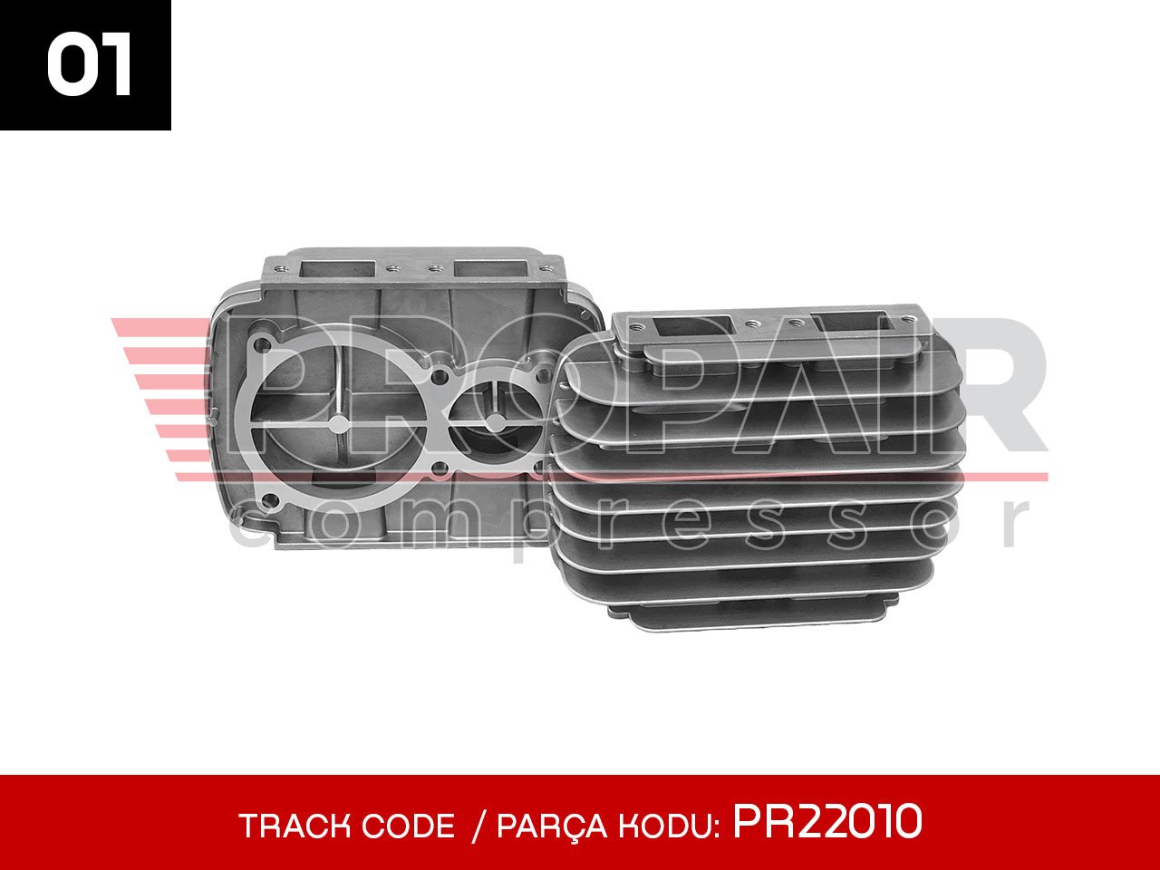01-PR22010